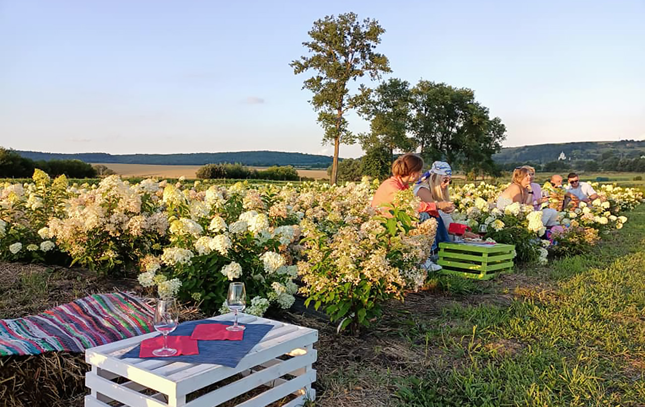 Насолодитись красою. Незвичайні квіткові локації для подорожі на вікенд